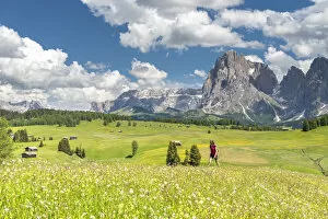 Barns Collection: Alpe di Siusi / Seiser Alm, Dolomites, South Tyrol, Italy. (MR)