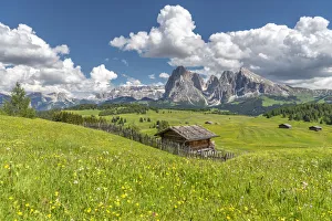 Alpe di Siusi / Seiser Alm, Dolomites, South Tyrol, Italy