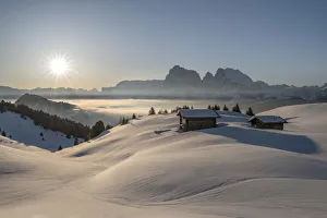 Alpe di Siusi / Seiser Alm, Dolomites, South Tyrol, Italy