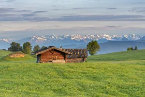 Alpe di Siusi / Seiser Alm, Dolomites, South Tyrol, Italy