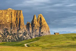 Alpe di Siusi / Seiser Alm, Dolomites, South Tyrol, Italy