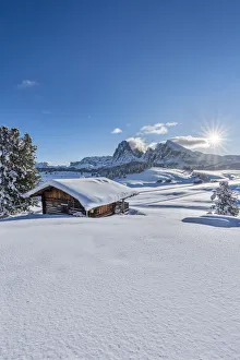 Alpe di Siusi / Seiser Alm, Dolomites, South Tyrol, Italy