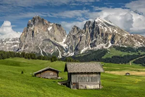Sud Tirolo Collection: Alpe di Siusi - Seiser Alm with Sassolungo - Langkofel mountain group in the background