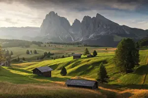 South Tyrol Prints: Alpe di Siusi (Seiser Alm) with the Sassolungo and Sassopiatto in the back