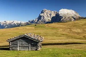 Alpe di Siusi with view of Sassolungo and Sassopiatto, Dolomites, Italy