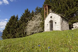Cherry Tree Prints: The alpine church of St Anna during springtime, Mezzomiglio, Cansiglio, Prealps of