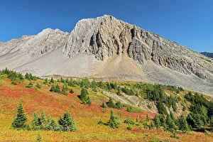 Majestic Rockies Prints: Alpine meadows in autumn colors