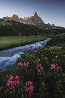 French Alps Gallery: Alpine meadows during a summer sunrise, Val Claree, Southern France