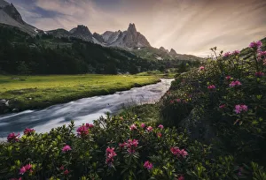 French Alps Gallery: Alpine meadows during a summer sunset, Val Claree, Southern France