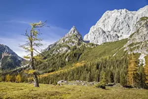 Dachstein Prints: Alpine meadows with a view of the Dachstein south face near Filzmoos, Styria, Austria