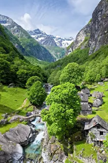 Model Released Prints: alpine pasture of Puntid. Calnegia