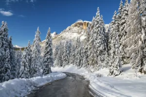 No One Prints: Alpine Road in Fresh Snowfall, Belluno Province, Veneto, Dolomites, Italy