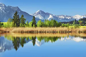 Alpine upland in Allgaeu - Germany, Bavaria, Swabia, Forggensee, Rosshaupten