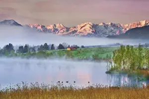 Reed Prints: Alpine upland at Riegsee with Wetterstein Mountains - Germany, Bavaria, Upper Bavaria