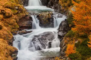 Larix Prints: Alpine waterfall in autumn. Lombardy, Italy