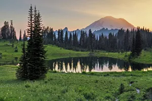 Rainier Prints: Alpine Wildflowers at Upper Tipsoo Lake with Mt