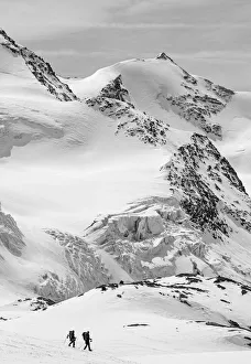 Snowshoes Prints: Alpinism, high mountains, forni glacier, Alps. Alpinism in Forni glacier in italian Alps