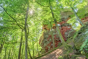 Wasgau Prints: Altschlossfelsen on the Brechenberg near Eppenbrunn