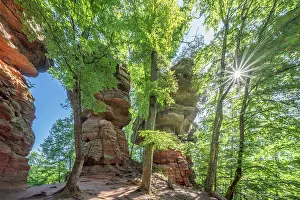 Wasgau Prints: Altschlossfelsen on the Brechenberg near Eppenbrunn
