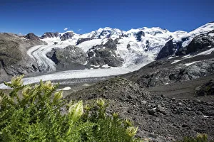 The amazing Morteratsch glacier meeting the Pers glaciers from the trail to Piz The amazing Morteratsch glacier meeting the Pers glaciers from the trail to Piz
