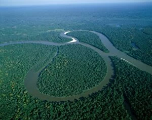 Amazon River Collection: Amazon River / Amazon Jungle / Aerial View
