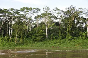 Images Dated 27th June 2012: Amazon River, near Puerto Narino, Colombia