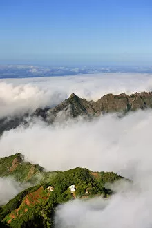 Images Dated 18th November 2011: Anaga Mountains Rural Park. Tenerife, Canary islands