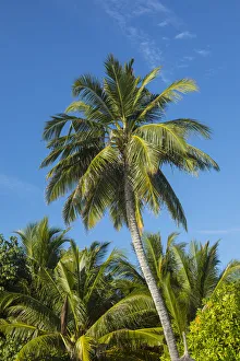 Anantara Dhigu resort, South Male Atoll, Maldives