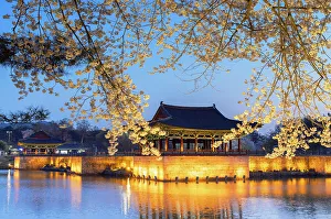 Cherry Blossom Prints: Anapji Pond (UNESCO World Heritage Site) at dusk, Gyeongju, South Korea