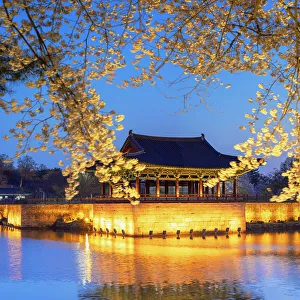 Cherry Blossom Prints: Anapji Pond (UNESCO World Heritage Site) at dusk, Gyeongju, South Korea