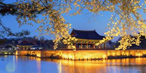 Blossom Prints: Anapji Pond (UNESCO World Heritage Site) at dusk, Gyeongju, South Korea
