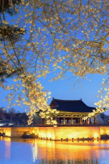 Cherry Blossom Prints: Anapji Pond (UNESCO World Heritage Site) at dusk, Gyeongju, South Korea
