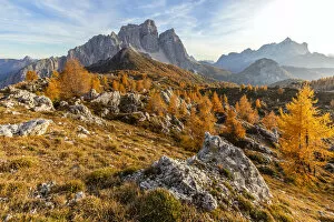 Dolomitic Collection: ancestral landscape at the Prendera mountain pasture, in the background the north face of