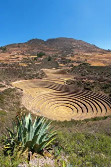Cusco Province Prints: Ancient Inca terrace fields at Moray, Maras, Sacred Valley, Cuzco Region, Peru