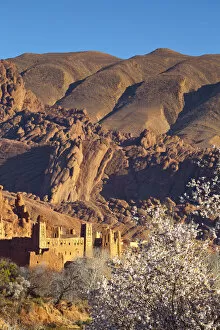 Images Dated 2nd August 2012: Ancient Kasbahs, Dades Gorge, Morocco