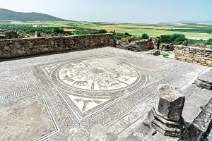 Craft Prints: Ancient mosaic with african animals on floor of The House of Orpheus