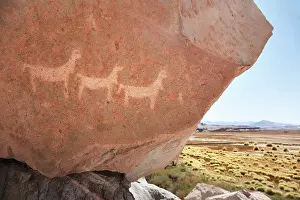 Atacama Prints: Ancient rock art depicting camelids in Antofagasta de la Sierra
