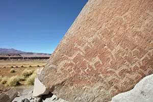 Atacama Prints: Ancient rock art depicting camelids in Antofagasta de la Sierra