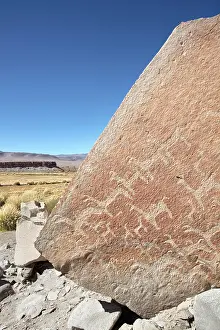 Atacama Prints: Ancient rock art depicting camelids in Antofagasta de la Sierra