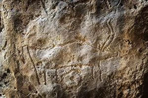 Deserted Collection: Animal engraving at Gobustan Rock Art Cultural Landscape Reserve has an outstanding