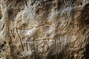 Rock Art Prints: Animal engraving at Gobustan Rock Art Cultural Landscape Reserve has an outstanding