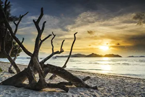 Secluded Prints: Anse Severe at Sunset, La Digue, Seychelles