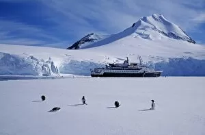 Images Dated 4th February 2009: Antarctica, Antarctic Peninsula, Port Lockroy