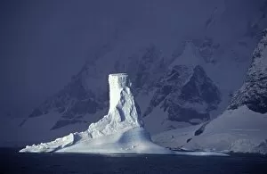 Images Dated 4th February 2009: Antarctica, Penola Strait, Pleneau island