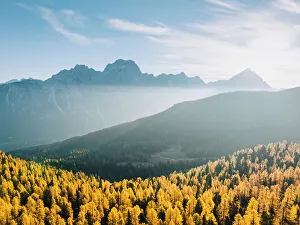 Antelao Prints: Antelao mountains with yellow larches on the foreground. Dolomites, Veneto, Italy