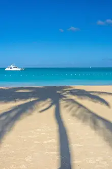 Palmtrees Prints: Antigua, Jolly Bay Beach, Palm Trees casting shadows