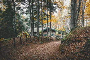 Appennino Tosco - Emiliano natural park, Dardagna Falls path, Modena province, Emilia