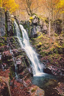 Images Dated 22nd March 2019: Appennino Tosco - Emiliano natural park, Dardagna Falls path, Modena province, Emilia