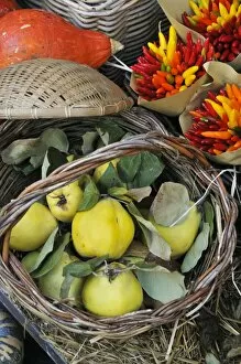 Images Dated 7th October 2013: Apple quince and chillies. Campo de Fiori food market. Rome, Italy