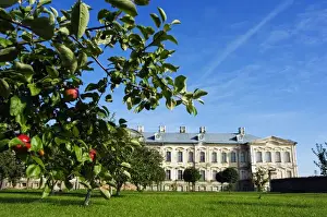 Apple trees in Palace Gardensof the Baroque Style Rundales Palace